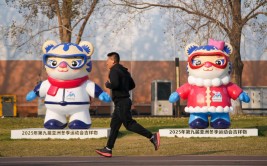哥哥谈好只蹭的及春节对联书法：隶书、行书、楷书的魅力比较与采选及（哥哥谈好只蹭的及春节对联书法：隶行楷书的魅力比较与采选及）