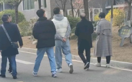 魏县网红吃瓜事件,一场网络狂欢背后的真相与反思