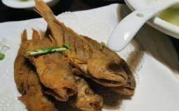 渔港码头海鲜餐厅附近酒店,尽享海鲜美食与舒适住宿的完美结合