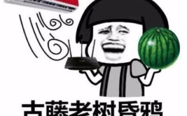 搞笑诗句,幽默诗句里的智慧与趣味
