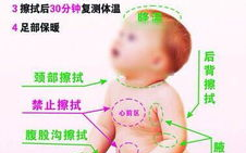 引起发烧的原因,感染、炎症与疾病信号