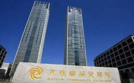 大连商品交易所,中国期货市场的领军者与农产品期货的摇篮”