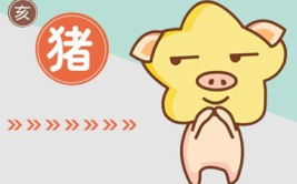 属猪2021年运势及全年每月运程图解析,全年运势起伏与每月运势解析