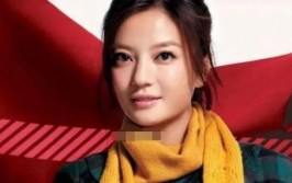 赵薇离婚,从影视巨星到豪门纠葛，揭秘背后的真相与人生转折