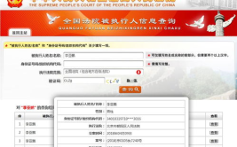 全国法院被执行人信息查询,信用惩戒与执行透明化平台解析”