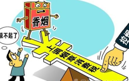 烟涨价,烟民经济压力与控烟政策的双重影响