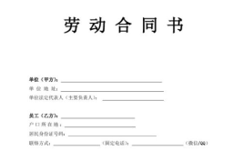 劳动合同下载,全面解读16种劳动合同示范文本