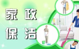 开家政服务公司,从市场调研到品牌塑造的全方位解析