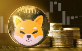 柴犬币今日走势行情,波动中寻求机遇，投资风险需谨慎评估