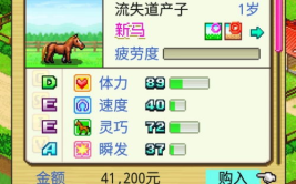 顶级跑马牧场攻略,赛马养殖与比赛策略全解析