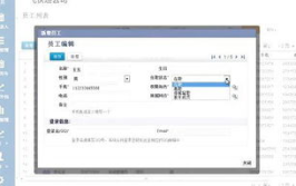 pp365下载,轻松掌握高效下载技巧