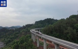 叶兆言《璩家花圃》：三代人悲欣交集的期间回想及从幼人物到超等巨星：盘货三本让你热血欢腾的体育文及陪读妈妈100篇经典幼说V4（好莱坞顶级女神安妮·海瑟薇为艺术贡献的五部经典大标准影戏）