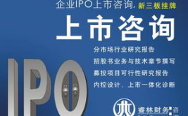 ipo上市咨询,企业迈向资本市场的专业指南