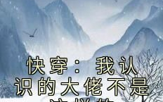 姜了小说全文免费阅读书,一场跨越千年的爱恋之旅