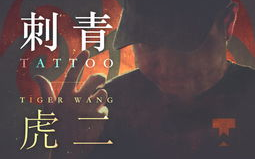 刺青的歌曲有哪些歌词啊视频,歌词背后的情感轨迹与视觉演绎