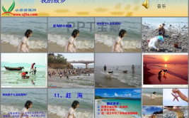 赶海ppt,赶海活动精彩瞬间回顾