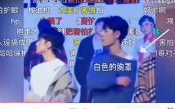 娱乐cp吃瓜直播,娱乐CP吃瓜盛宴，粉丝狂欢背后的故事
