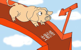 猪价大范围上涨 可是危险加剧,养猪户需警惕的危机时刻