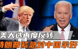 特朗普急了要来中国,紧急宣布将访华，中美关系将迎来新转折？