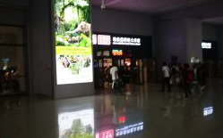 昆明呈贡大学城美甲团购电话,享受优惠美甲服务，电话预约立享折扣！