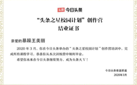 娱乐吃瓜评论文案,揭秘吃瓜背后的真相与笑料