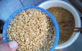 丁香酒钓草鱼有用吗知乎,传统钓法中的神秘魅力