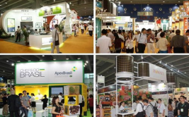 龙阳路展会,聚焦浦东新区，共鉴行业盛会风采